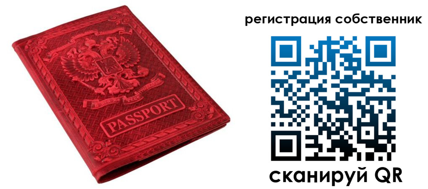 регистрация для школы в Тосно